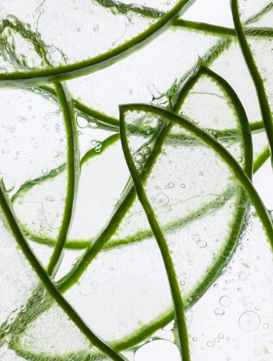 Anti-Age Hydrogel Eye Patches